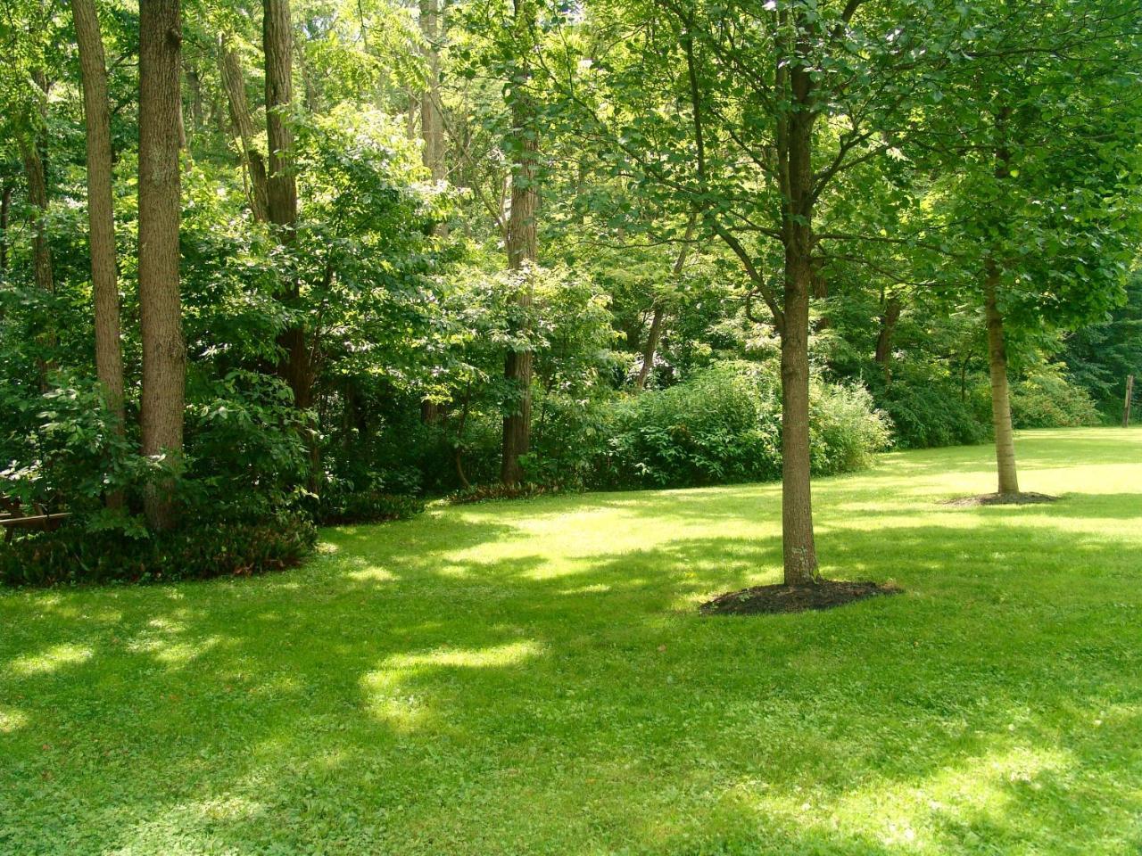 Villa Paddler'S Lane Retreat à Confluence Extérieur photo