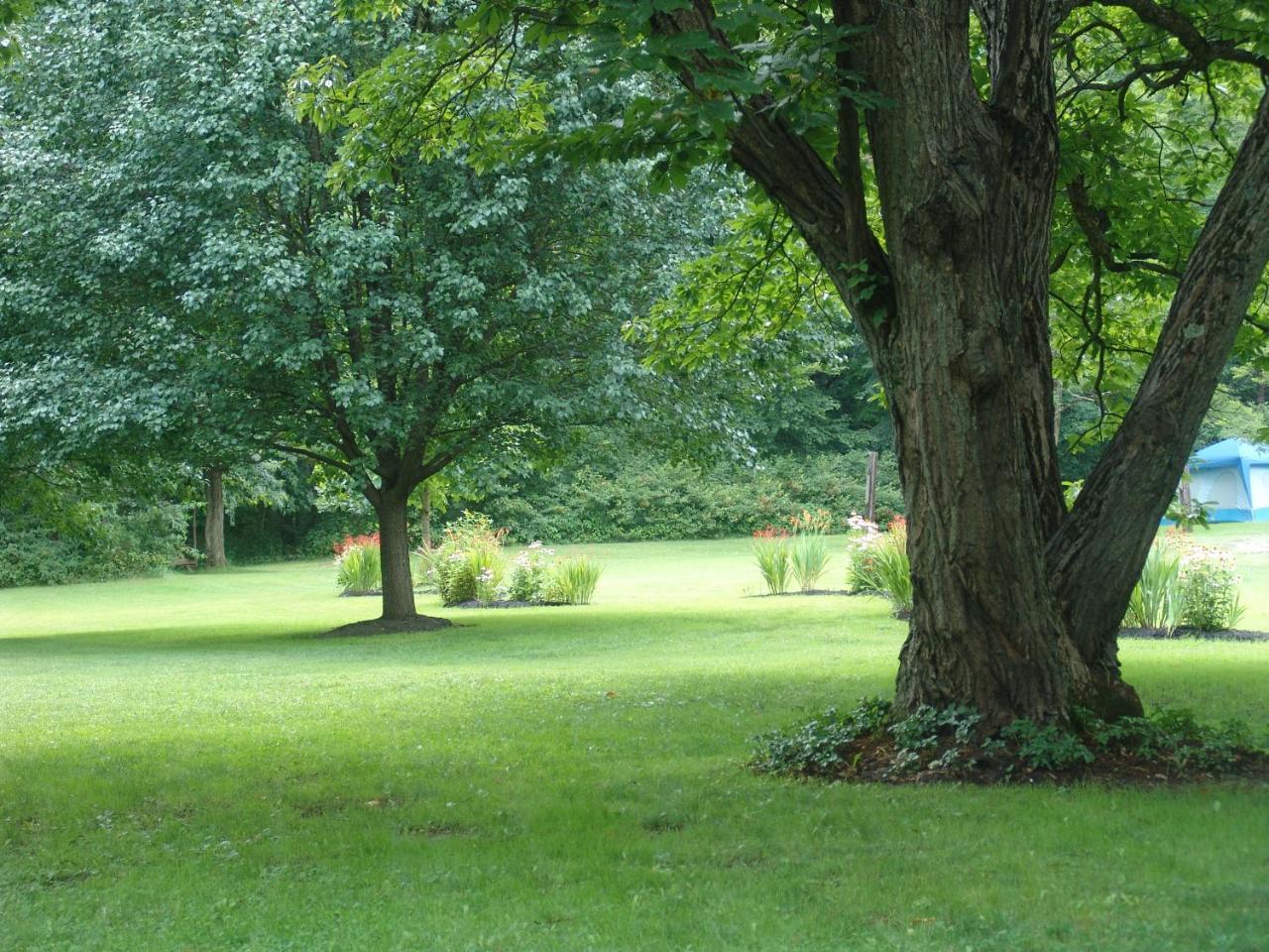 Villa Paddler'S Lane Retreat à Confluence Extérieur photo