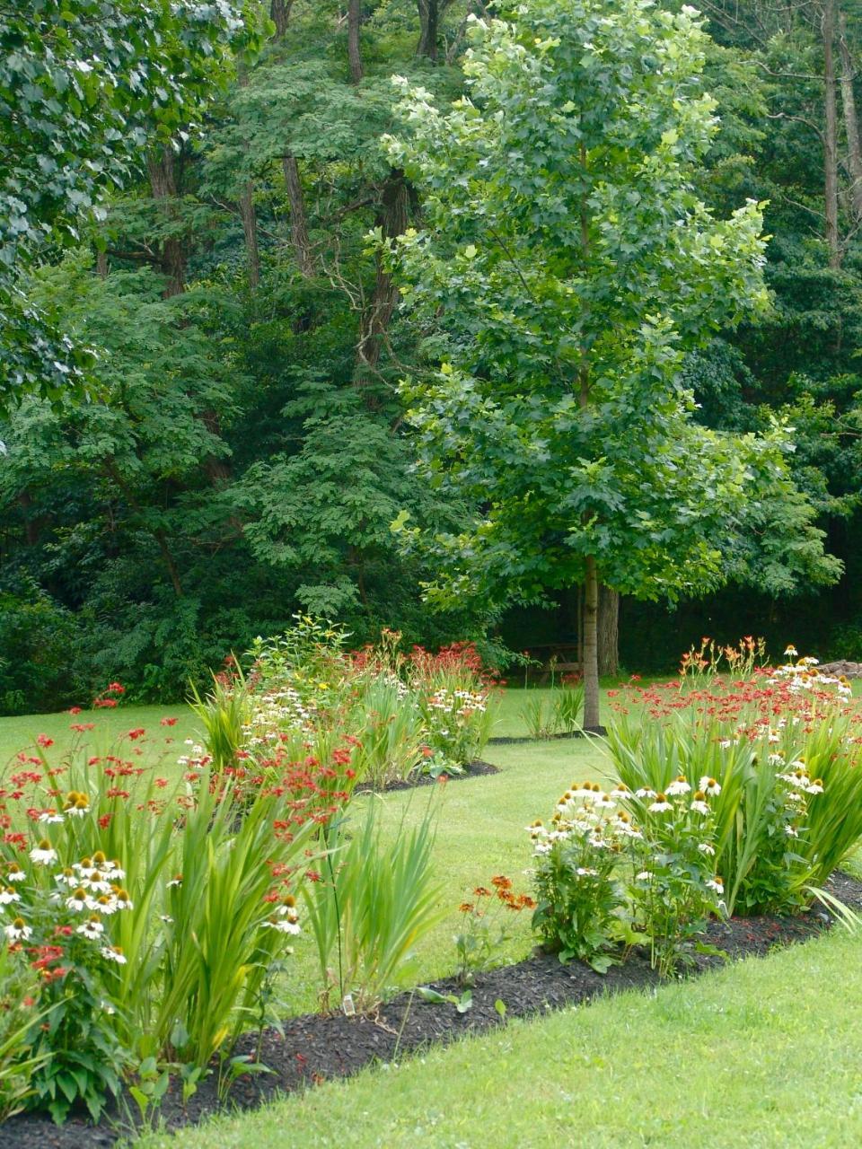 Villa Paddler'S Lane Retreat à Confluence Extérieur photo